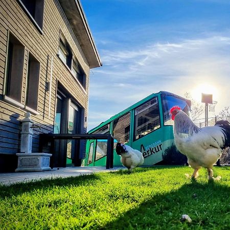 Exklusives Holzhaus Mit Bergbahn - Baden-Baden Im Schwarzwald Βίλα Εξωτερικό φωτογραφία