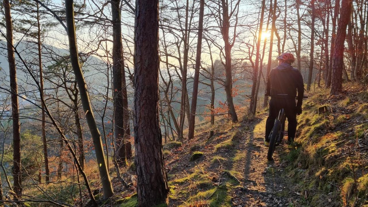 Exklusives Holzhaus Mit Bergbahn - Baden-Baden Im Schwarzwald Βίλα Εξωτερικό φωτογραφία