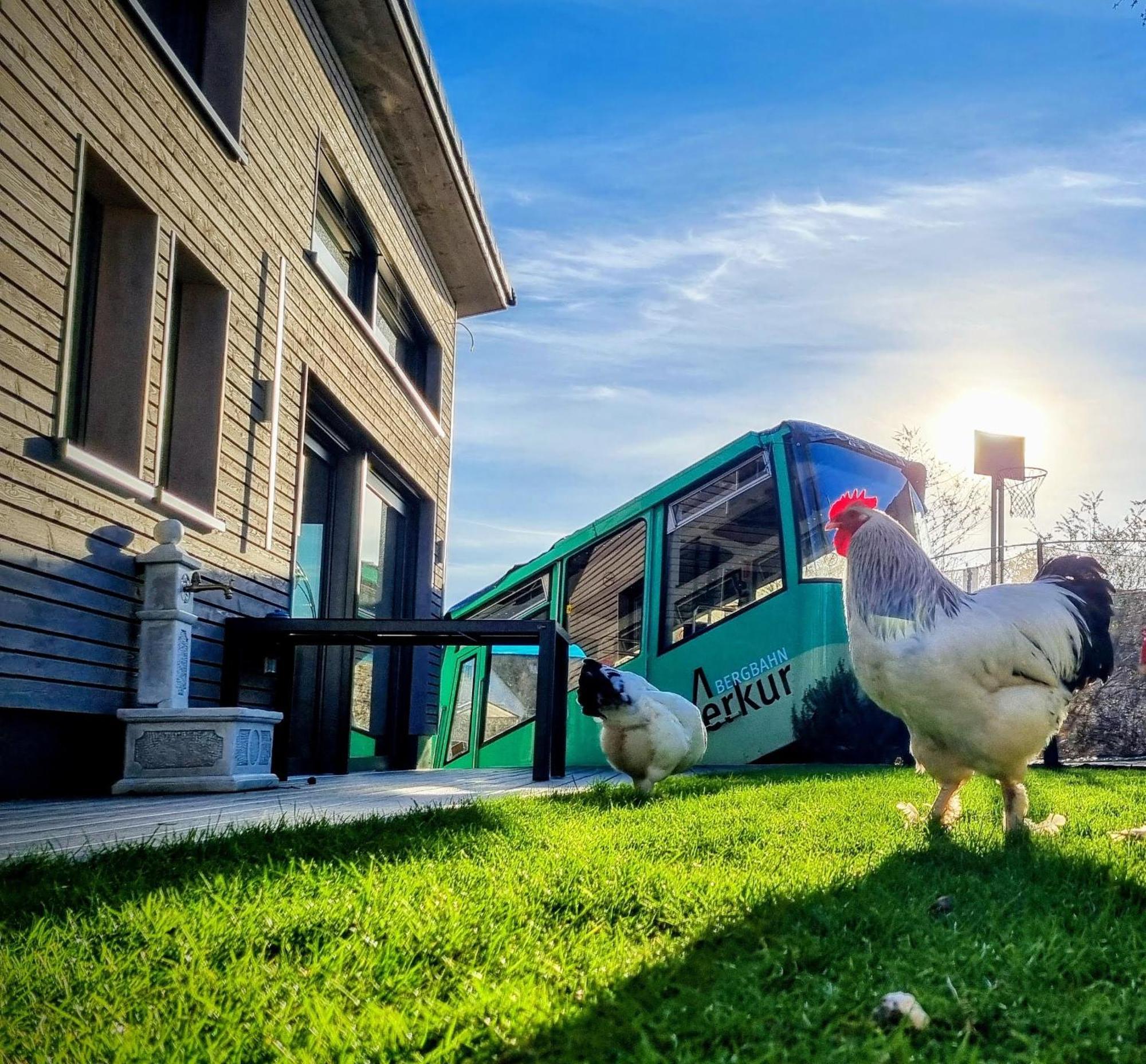 Exklusives Holzhaus Mit Bergbahn - Baden-Baden Im Schwarzwald Βίλα Εξωτερικό φωτογραφία
